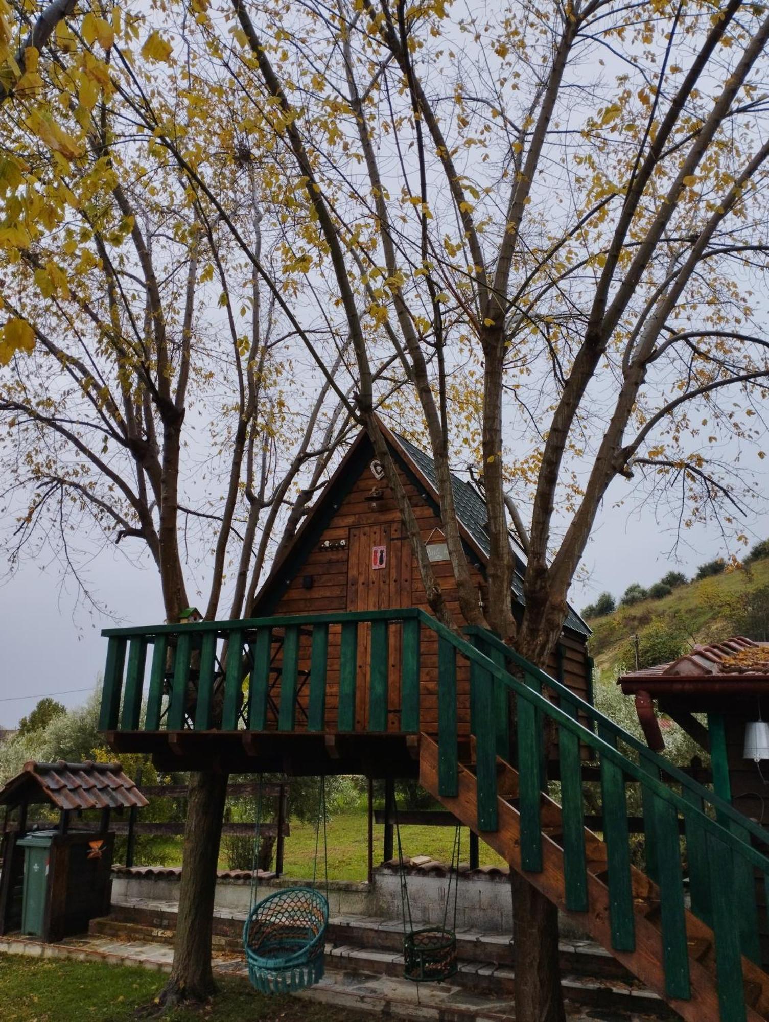Tríkala Traditional Guesthouse المظهر الخارجي الصورة