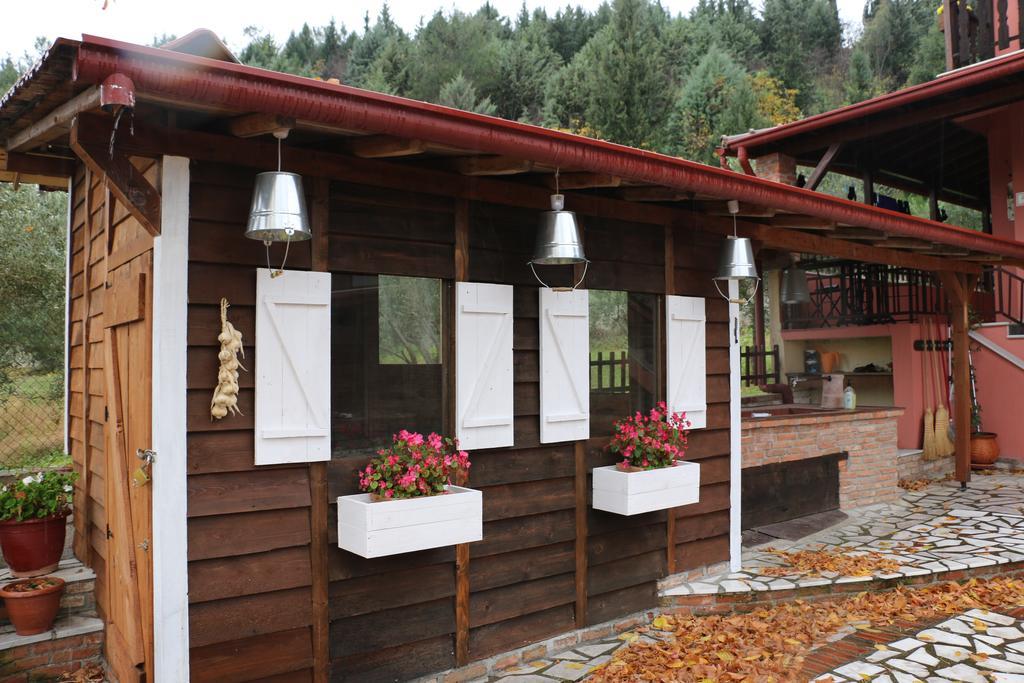 Tríkala Traditional Guesthouse المظهر الخارجي الصورة