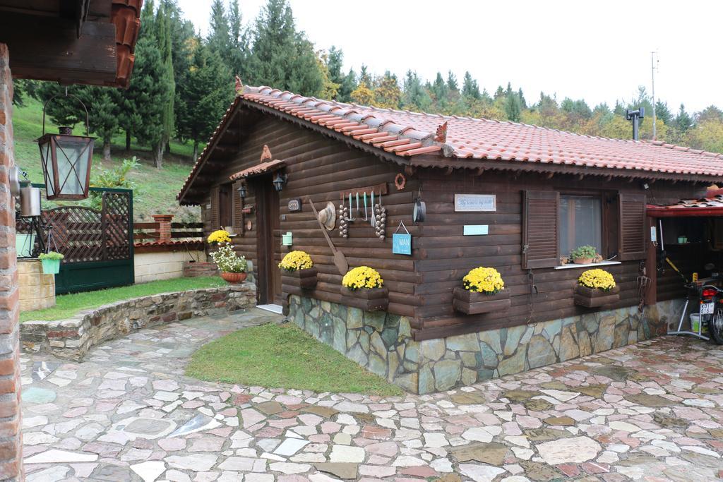 Tríkala Traditional Guesthouse المظهر الخارجي الصورة