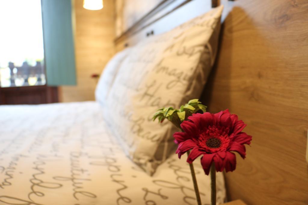 Tríkala Traditional Guesthouse المظهر الخارجي الصورة